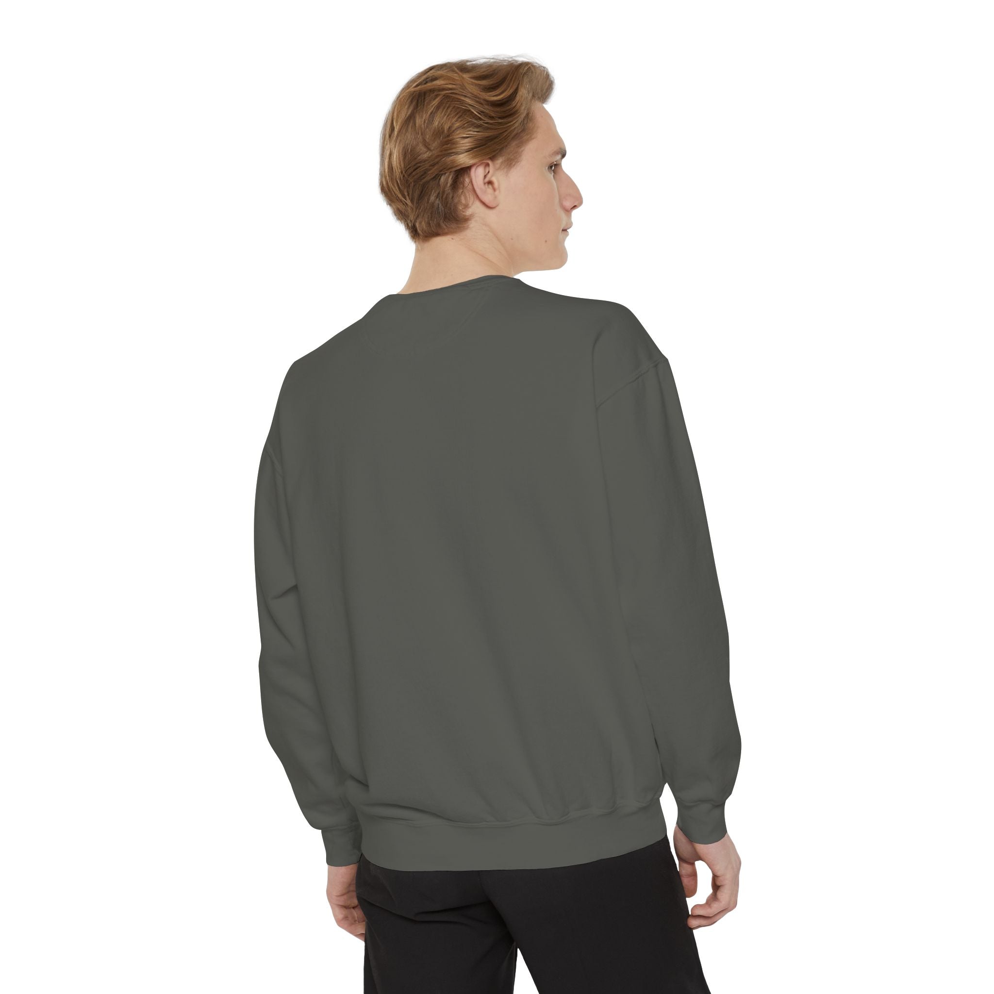 Michael Angelo's painting on top of the Palace of Versailles - Artistic Unisex Garment-Dyed Sweatshirt