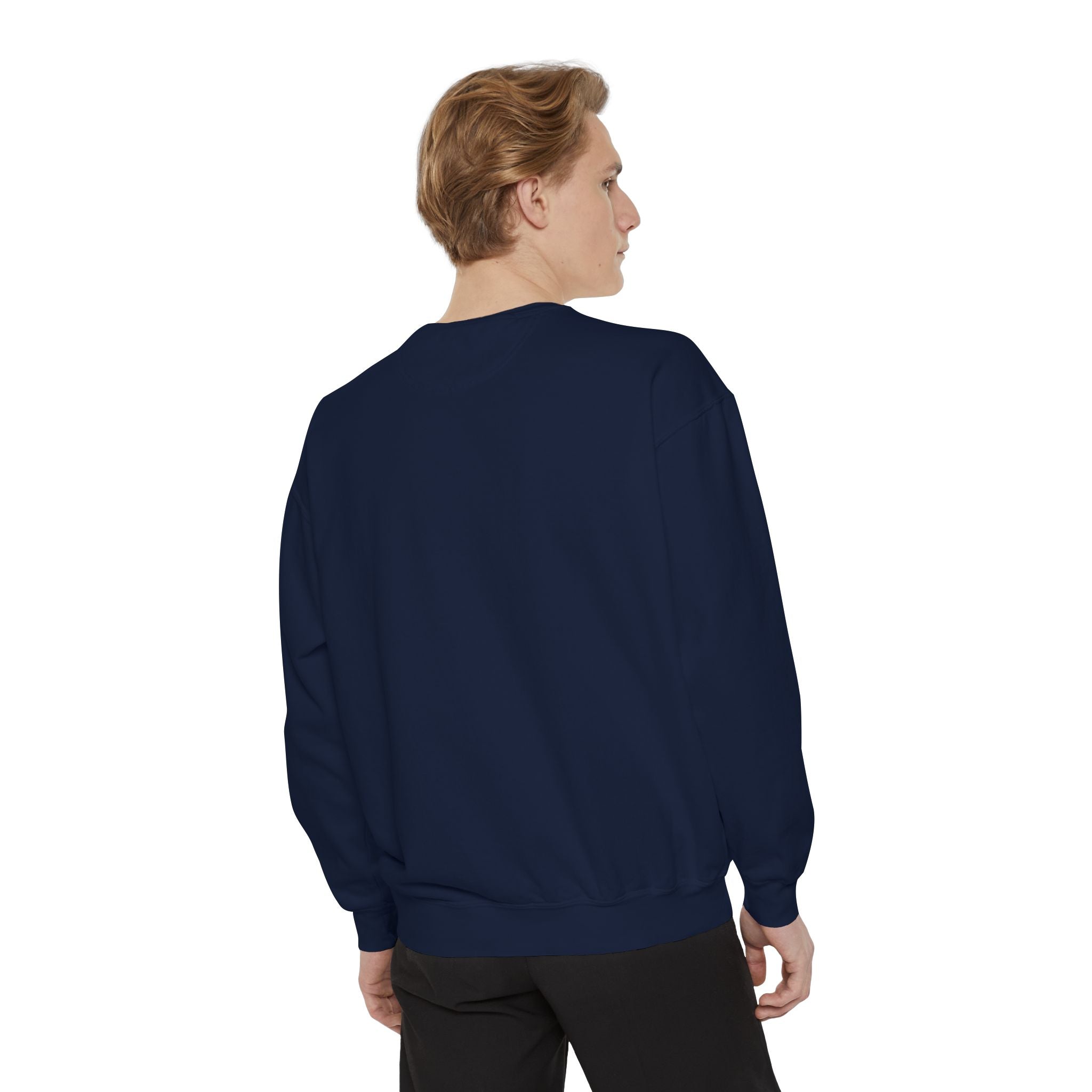 Michael Angelo's painting on top of the Palace of Versailles - Artistic Unisex Garment-Dyed Sweatshirt