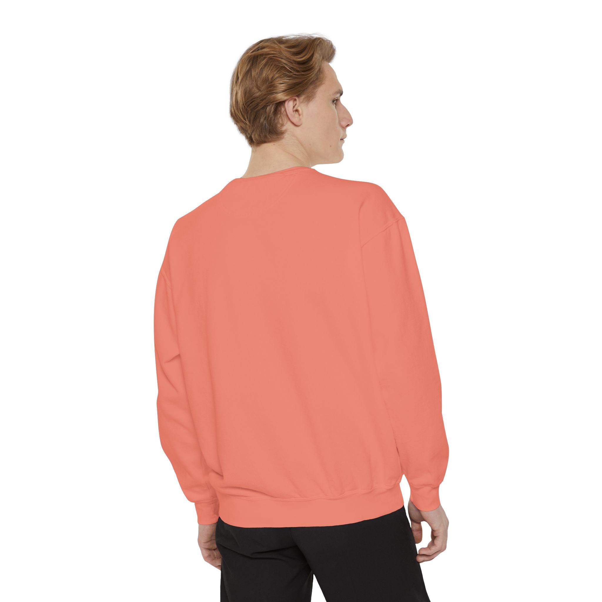 Michael Angelo's painting on top of the Palace of Versailles - Artistic Unisex Garment-Dyed Sweatshirt