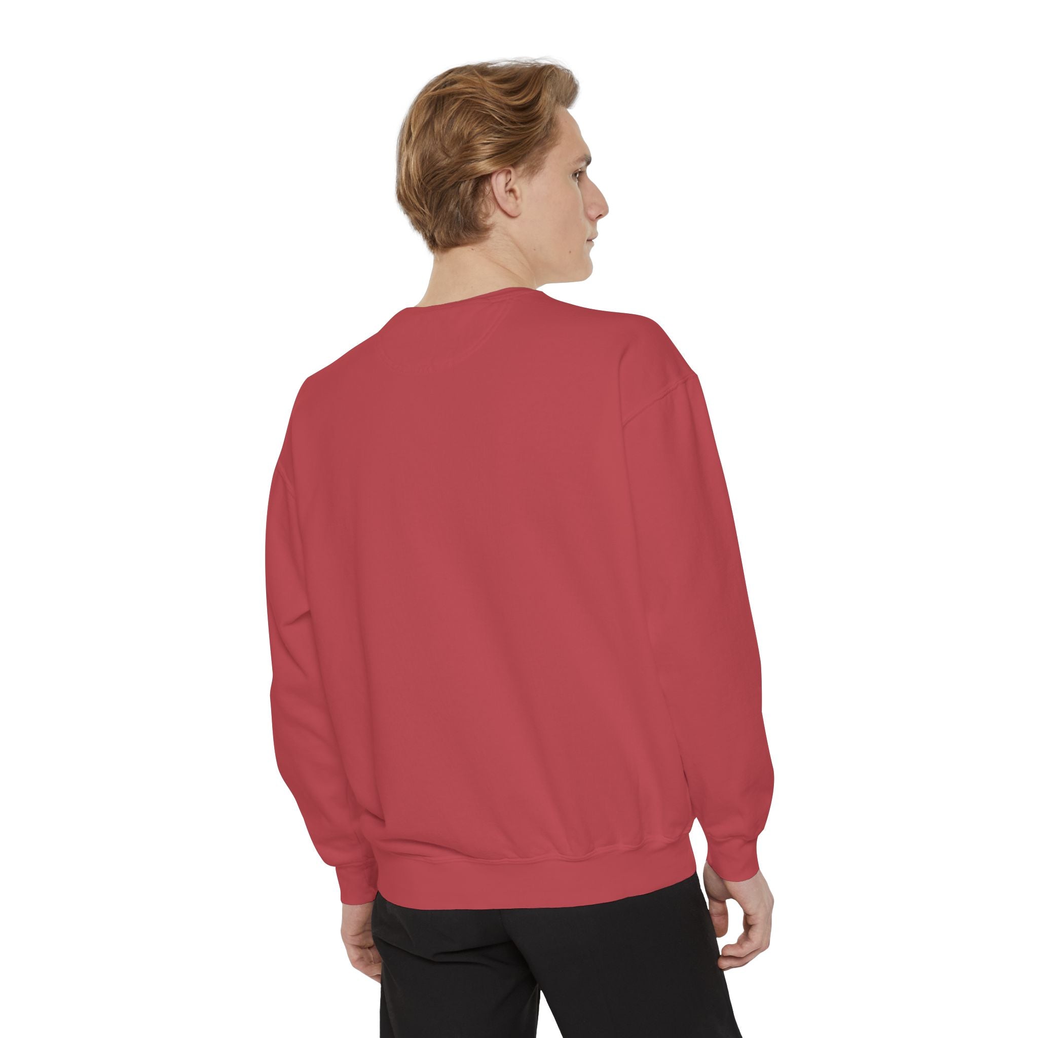 Michael Angelo's painting on top of the Palace of Versailles - Artistic Unisex Garment-Dyed Sweatshirt